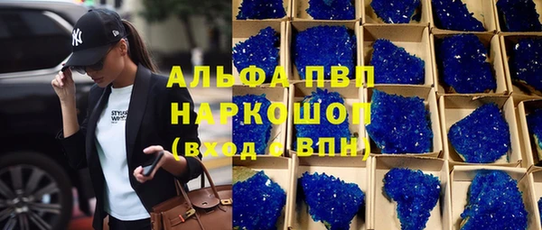 сатива Магас