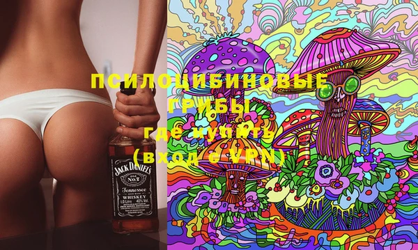 сатива Магас