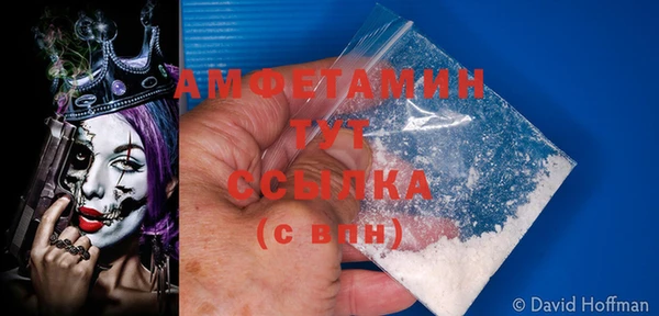 сатива Магас