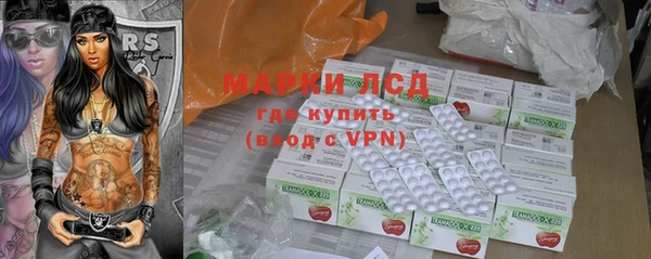 сатива Магас