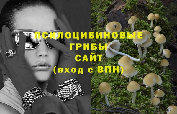 сатива Магас