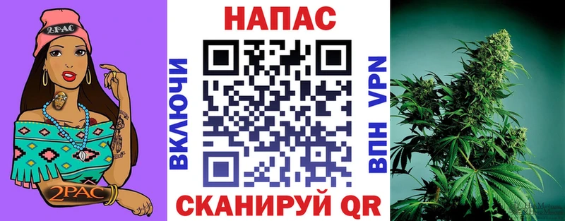 Купить закладки  Снежногорск  МАРИХУАНА AK-47 